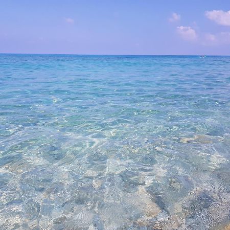 San Carlo - Terrazzo Sul Mare Con Ristorante E Pizzeria Bed & Breakfast Zambrone Eksteriør bilde