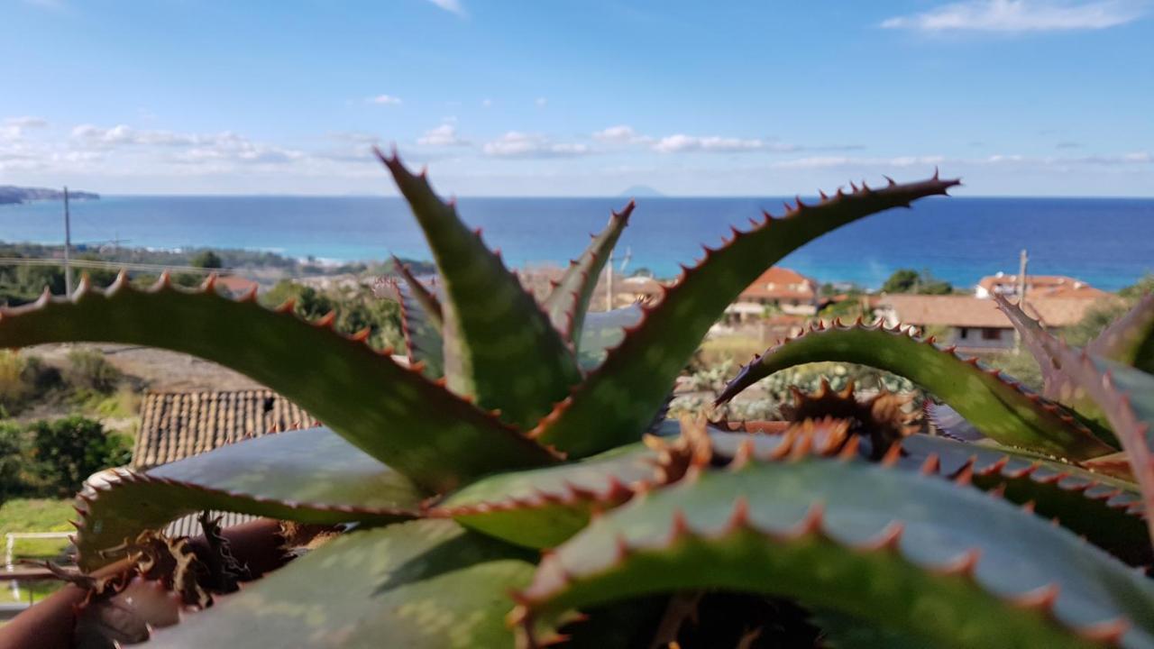 San Carlo - Terrazzo Sul Mare Con Ristorante E Pizzeria Bed & Breakfast Zambrone Eksteriør bilde